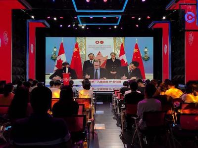 第八届深圳动漫交易会亮相文博会，互动影视研发引领新趋势